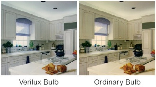 Verilux G1640VLX - 40 Watt - G16 Globe Image