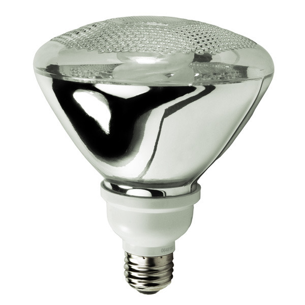 PAR38 CFL - 16 Watt - 75W Equal - 6500K Full Spectrum Daylight Image
