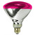 Satco S5007 - 100 Watt - Pink - BR38 Thumbnail