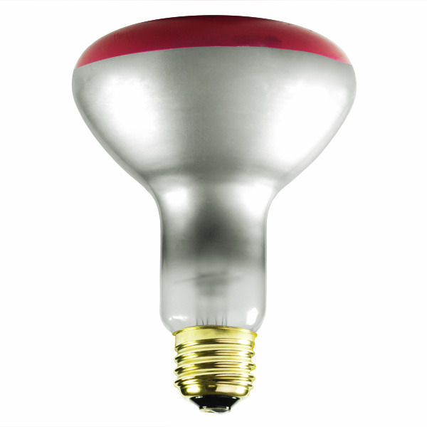 Bulbrite 247075 - 75 Watt - BR30 - Red Image