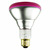 75 Watt - BR30 Light Bulb - Pink Thumbnail