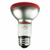 50 Watt - R20 Light Bulb - Red Thumbnail