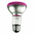 Satco S3212 - 50 Watt - Pink Thumbnail