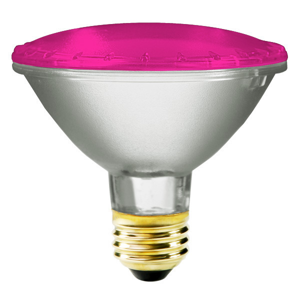 Bulbrite 683756 - 75 Watt - PAR30 Image
