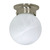 Nuvo 60-257 - Ceiling Mount Ball Fixture Thumbnail