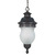 Nuvo 60-881 (3 Light) Hanging Lantern Thumbnail