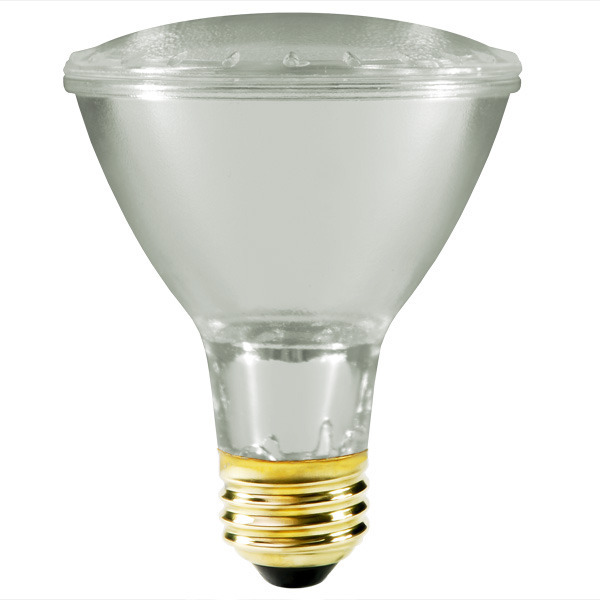 Litetronics G-4454LN - 75 Watt - PAR30L Image