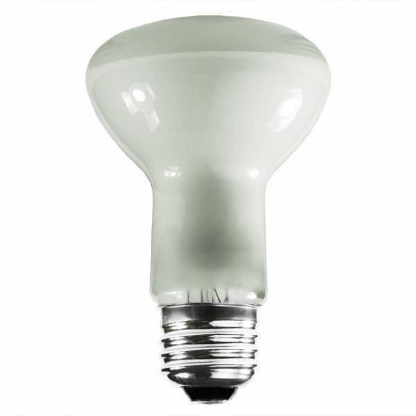 75 Watt - R20 - Reflector Flood Image