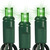 LED Mini Light Stringer - 25 ft. - (50) LEDs - Green - 6 in. Bulb Spacing - Green Wire Thumbnail