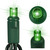 LED Mini Light Stringer - 17 ft. - (50) LEDs - Green - 4 in. Bulb Spacing - Green Wire Thumbnail