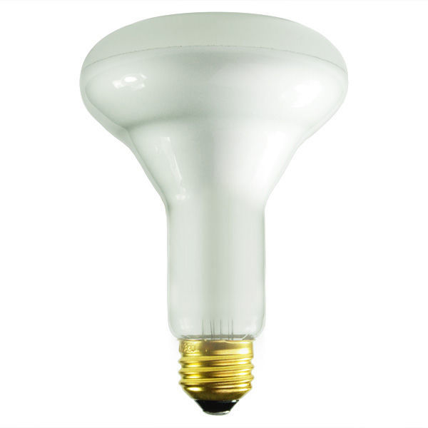 Litetronics L-809 - 65 Watt - BR30 - Incandescent Reflector Image