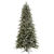 12 ft. x 66 in. Frosted Christmas Tree Thumbnail