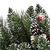 2.5 ft. Christmas Swag Thumbnail