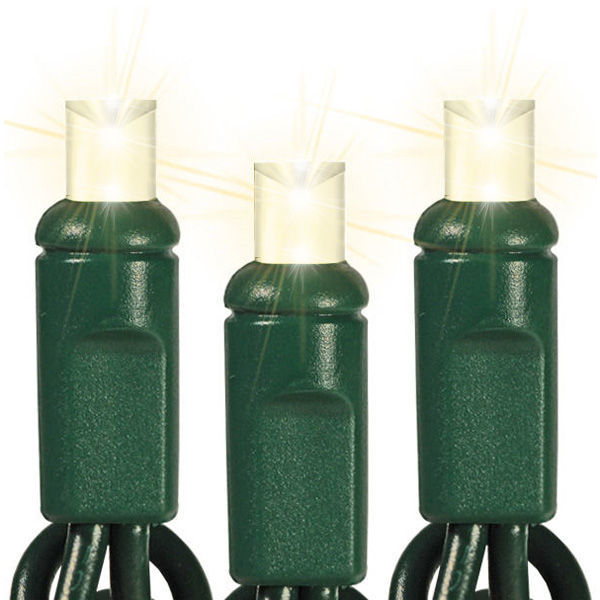 Warm White Frost LED String Lights - 25 ft. - Green Wire - 5mm Wide Angle - 50 Bulbs Image
