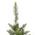 7.5 ft. x 21 in. Artificial Christmas Tree Thumbnail