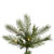 7 ft. x 54 in. Artificial Christmas Tree Thumbnail
