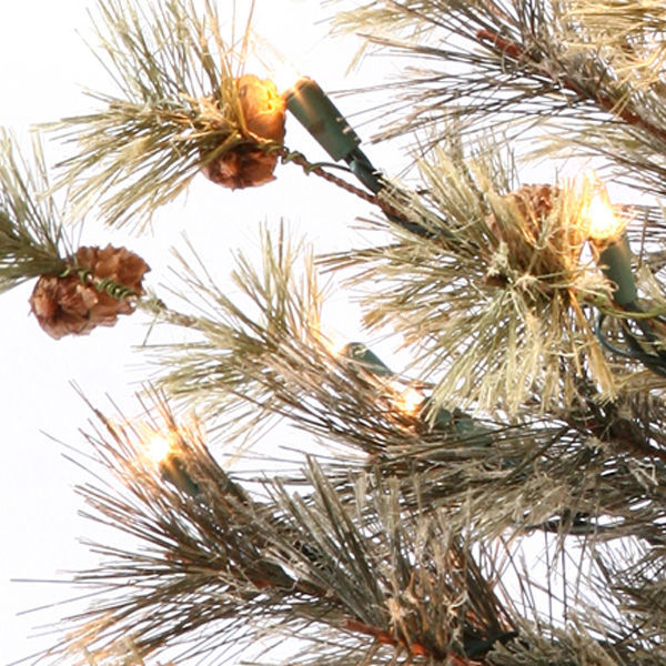 2 ft. Potted Christmas Tree Image