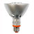 600 Lumens - 10 Watt - 3000 Kelvin - LED PAR30 Long Neck Lamp Thumbnail