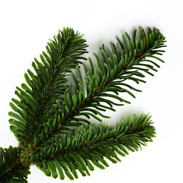 10 ft. x 77 in. Artificial Christmas Tree Image