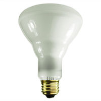 65 Watt - BR30 Incandescent Light Bulb - Frosted - Medium Base - 120 Volt - PLT Solutions - FL-104285