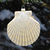 Large Clam Shell Christmas Ornament Thumbnail