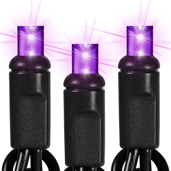 Purple LED String Lights - 25 ft. - Black Wire - 5mm Wide Angle - 50 Bulbs Image