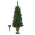 4 ft. x 20 in. - Potted Artificial Christmas Tree Thumbnail