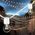 102 ft. Patio String Lights - White Wire - 50 Sockets Thumbnail