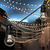 48 ft. Patio String Lights - Black Wire - 24 Sockets Thumbnail