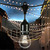 102 ft. - 50 Sockets - 24 in. Spacing - Patio Light Stringer