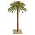 6 ft. Christmas Palm Tree Thumbnail
