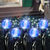 (96) Bulbs - LED - Blue Cherry Drop Net Lights Thumbnail