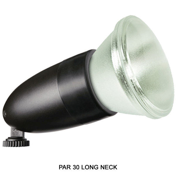 RAB LFP38A - PAR38 Landscape Light Image