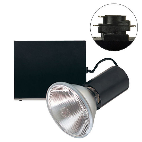 Nora NTM-5438 - Lamp Holder and Gimbal Image