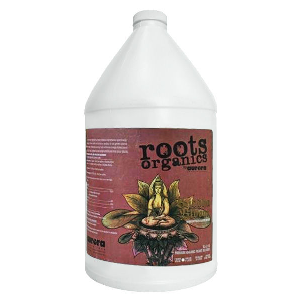 1 gal. - Buddha Bloom Image