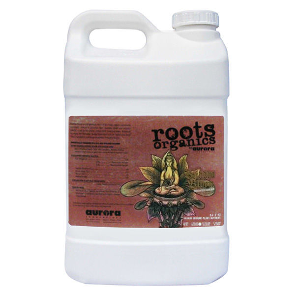 Buddha Bloom - 2.5 gal. Image