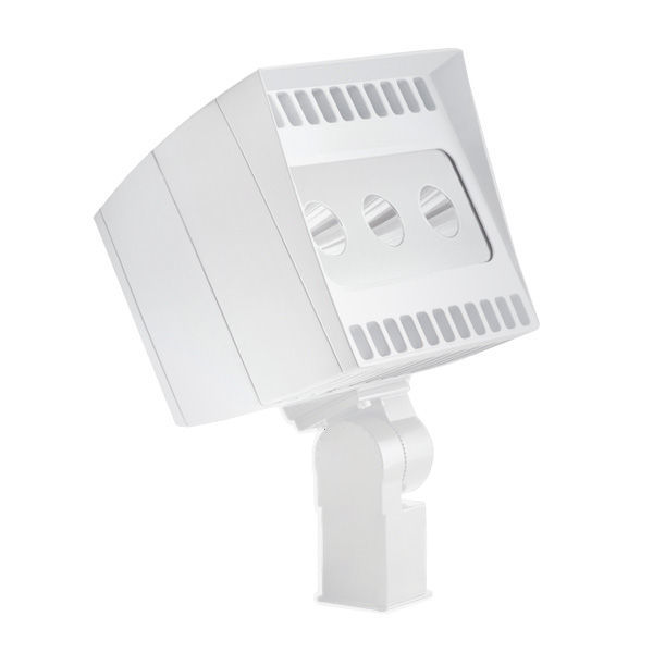 RAB EZLED78SFW/PCS2 - 78 Watt - LED Spot Light Image