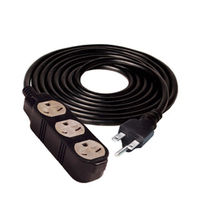 Indoor Extension Cord - 3 Grounded Outlets - 25 ft. Cord Length - 15 Amp -  3600 Watt Maximum - Black - Hydrofarm BACDE24025