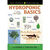 Hydroponic Basics: The Basics of Soilless Gardening Indoors - Paperback Thumbnail