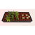 Gro-Smart - Propagation Tray - 78 Cell Thumbnail