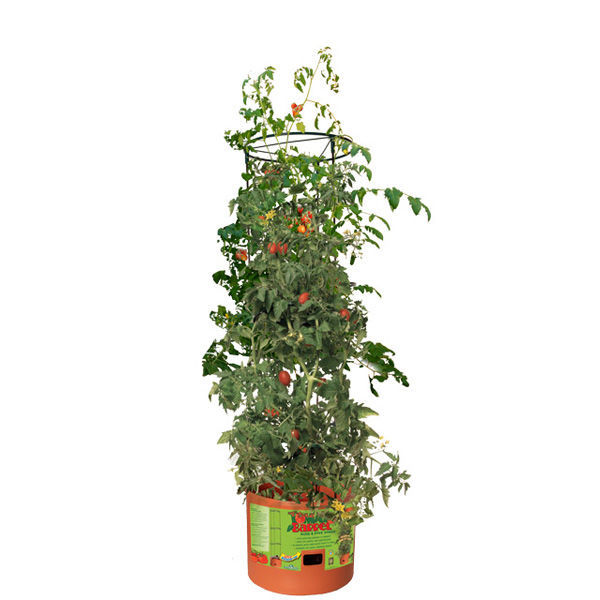 Tomato Barrel Tower - 4 ft. Image