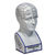 Phrenology Head