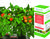 AeroGarden - Cherry Tomato Seed Kit Thumbnail