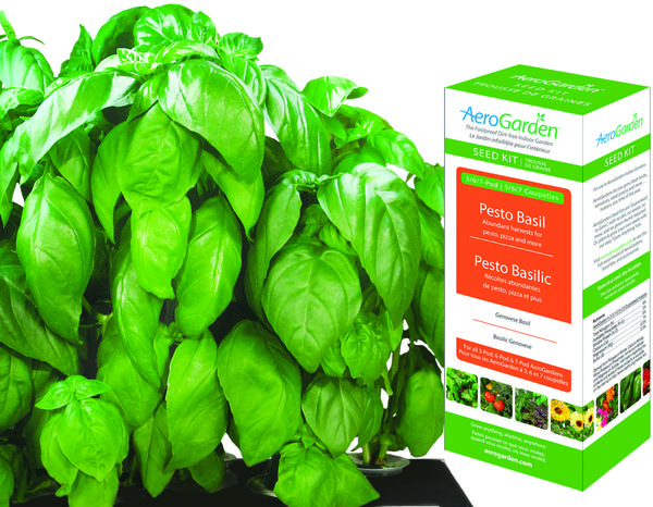 AeroGarden - Pesto Basil Seed Kit Image