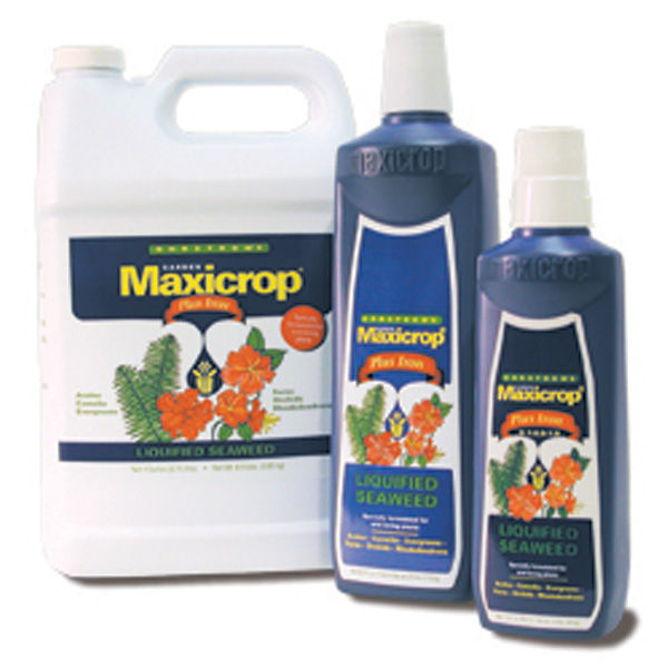 MaxiCrop Liquid Seaweed Plus Iron - 1 qt. Image