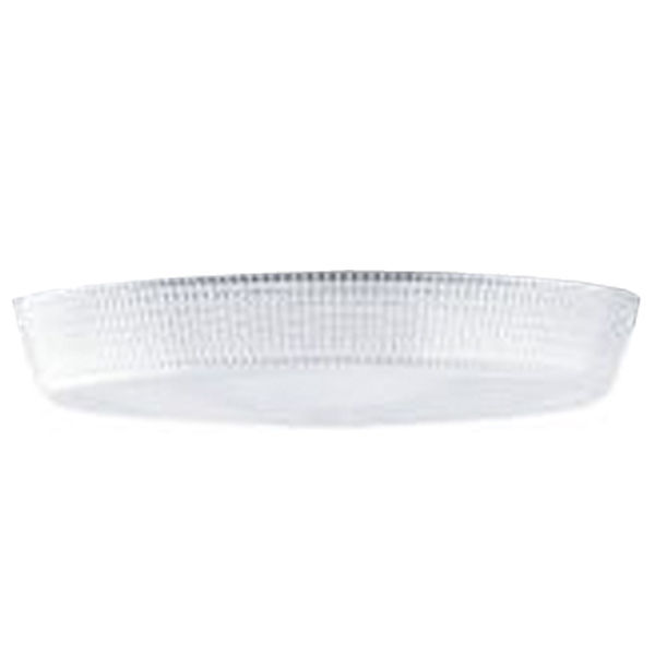Prismatic Polycarbonate Lens Image