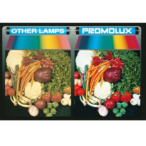 Promolux C11172-4 - Produce and Meat Lamp - F72T12 Image