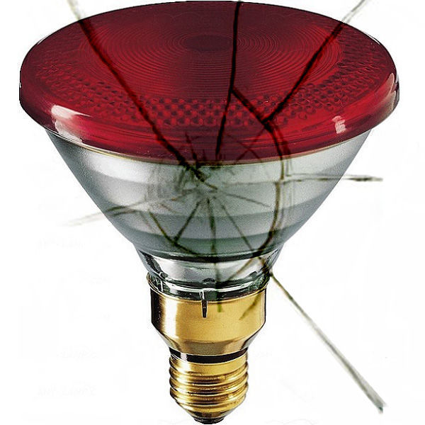 Shatter Resistant - 85 Watt - PAR38 - Flood - Red Image