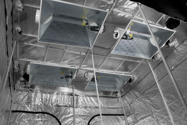 96 x 96 x 83 in. - Gorilla Grow Tent Image