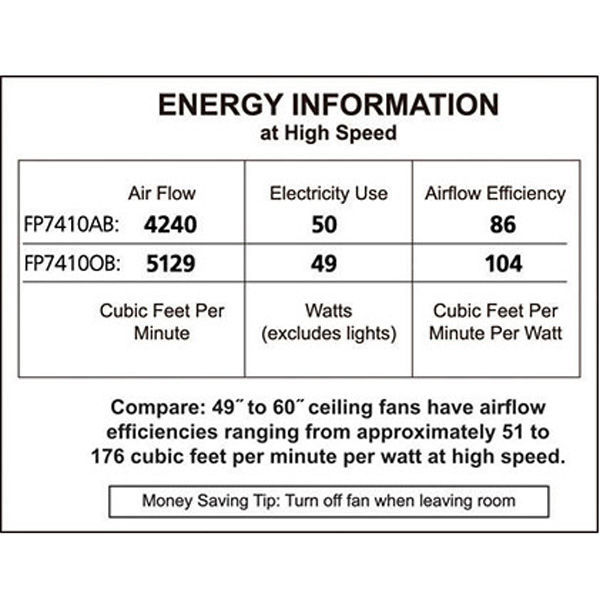 Fanimation FP7410AB - 52 in. Windpointe Ceiling Fan Image